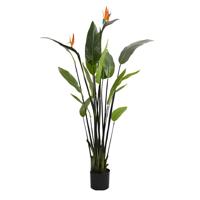 Strelitzia met bloem 120 cm kunstplant Buitengewoon de Boet - Buitengewoon de boet