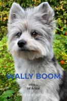 Wally Boom - Hans Van der Meer - ebook