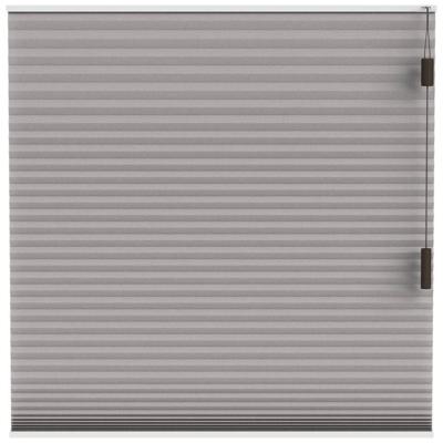 Leen Bakker - Fenstr Plisségordijn Boston Dubbel 25mm Lichtdoorlatend - (30015) - Polyester - Taupe - 120x10x10 Cm