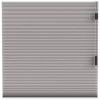 Leen Bakker - Fenstr Plisségordijn Boston Dubbel 25mm Lichtdoorlatend - (30015) - Polyester - Taupe - 120x10x10 Cm