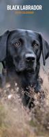 Labrador Retriever Kalender Zwart 2026 Slimline