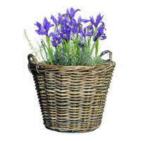 Mega Collections Planten of bloemen mand - D45 x H35 cm - rond - rotan gevlochten - bloempot