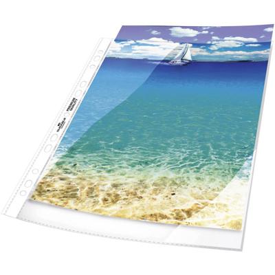 Durable Showtassen 2672 DIN A4 Transparant 267219 100 stuk(s)