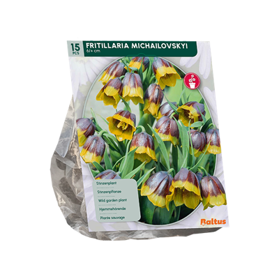 Kievitsbloem