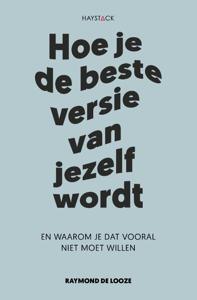Hoe je de beste versie van jezelf wordt (Paperback)