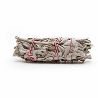 Witte Salie Smudge Stick Medium