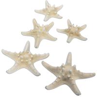 Othmar Decorations Decoratie zeesterren mix - 28x stuks - 7-15 cm