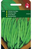 Chinese Boontjes Miracle - Tuinplus Chinese Boontjes Miracle - Tuinplus
