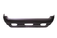 Bumper 5506000095953P