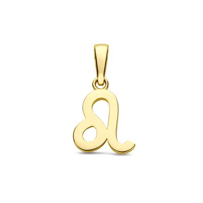 14k Geelgouden Hanger Sterrenbeeld Leeuw - Per Stuk