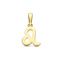 14k Geelgouden Hanger Sterrenbeeld Leeuw - Per Stuk