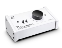 Palmer MONICON W