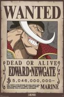 Poster One Piece - Wanted Whitebeard 61x91,5cm