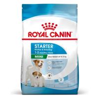 ROYAL CANIN SHN Mini Starter Mother & Babydog - droog hondenvoer - 4 kg