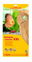 Catappa Leaves XXL 30 - 35 cm - Sera - thumbnail