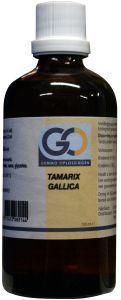 GO Tamarix gallica bio