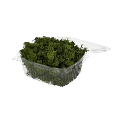 HBX Natural Living Rendiermos 50gr groen HBX Natural Living Rendiermos 50gr groen