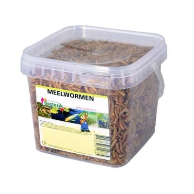 Meelwormen 1.2 liter - Suren collection