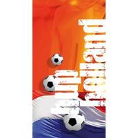 Raambiljet thema HUP HOLLAND afm 50x94cm