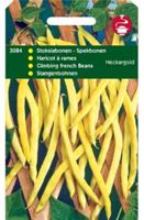 Zaden Stokslabonen Neckargold 100g Tuinplus - Tuinplus