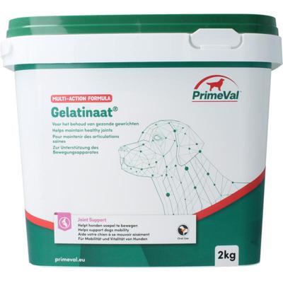 Primeval Gelatinaat hond