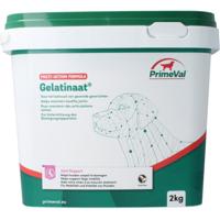 Primeval Gelatinaat hond