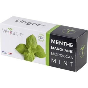 Veritable Indoor Garten navulpak Lingot Marokkanische Minze - Organic 128 mm 1 stuk(s)