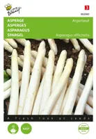Buzzy® Asperge Argenteuil Zaden