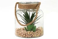 Glas succulent Sarila L