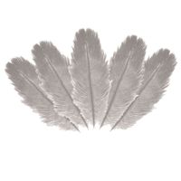 Struisvogelveren/sierveren - 5x - licht grijs - 20-25 cm - decoratie/hobbymateriaal