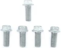 TRW bouten-set screw set 5pcs. m8x1,25