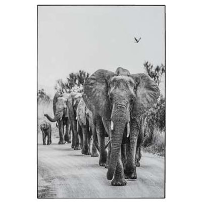 Schilderij Olifanten - zwart/wit - 90x60 cm