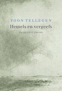 Hemels en vergeefs - Toon Tellegen - ebook