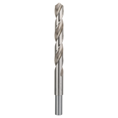 Bosch Accessoires Metaalboor HSS-G | 12X101X151mm | DIN 338 - 2609255058