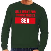 Foute kersttrui - Christmas Sex - groen - voor heren - sweater - kerstborrel