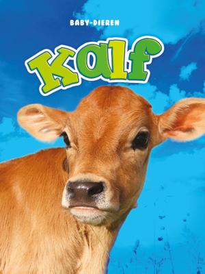 Kalf (Hardback)