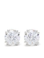 Swarovski puces d'oreilles Constella - Blanc