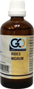 Ribes nigrum bio