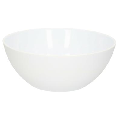 PlasticForte Dessert en serveer schaaltjes / kommetjes - 950 ml - wit - kunststof - 17 x 7 cm