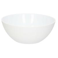 PlasticForte Dessert en serveer schaaltjes / kommetjes - 950 ml - wit - kunststof - 17 x 7 cm