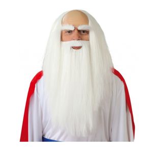 Witte tovenaars carnaval / halloween pruik met baard