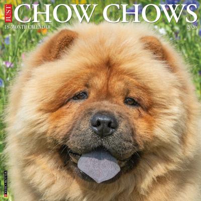 Chow Chow Kalender 2026