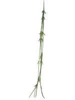 Cactus Lia hanger green 107 cm (S) kunstbloem - Nova nature