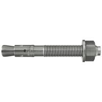 Fischer Snelbouwanker FBN II 20/30 roestvast staal R - 507571 - 10 stuk(s) - 507571