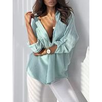 Dames Blouse Effen Kleur nappi Zak Werk Stijlvol Modern Lange mouw Overhemdkraag blauw Lente Herfst Lightinthebox - thumbnail