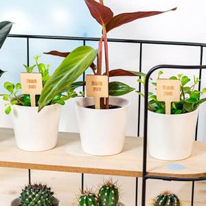 Bloempot met full color print plantensteker - set van 12