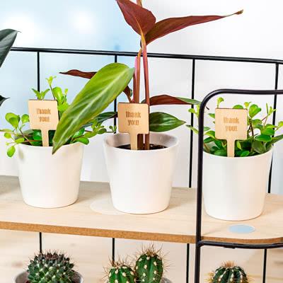 Bloempot met full color print plantensteker - set van 12