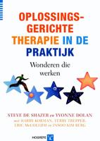 Oplossingsgerichte therapie in de praktijk (Paperback)