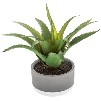 Mica Decorations vetplant kunstplant - in pot van cement - H22 cm - Nepplanten - pot van 11 x 7 cm Mica Decorations vetplant kunstplant - in pot van cement - H22 cm - Nepplanten - pot van 11 x 7 cm