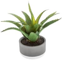 Mica Decorations vetplant kunstplant - in pot van cement - H22 cm - Nepplanten - pot van 11 x 7 cm